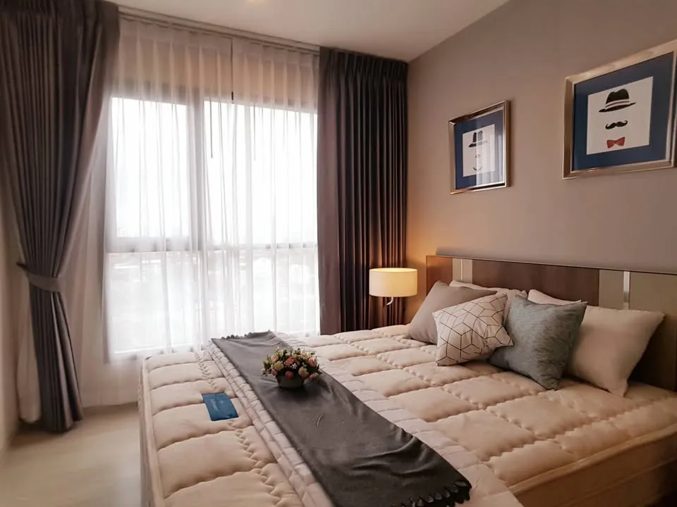Property Main View