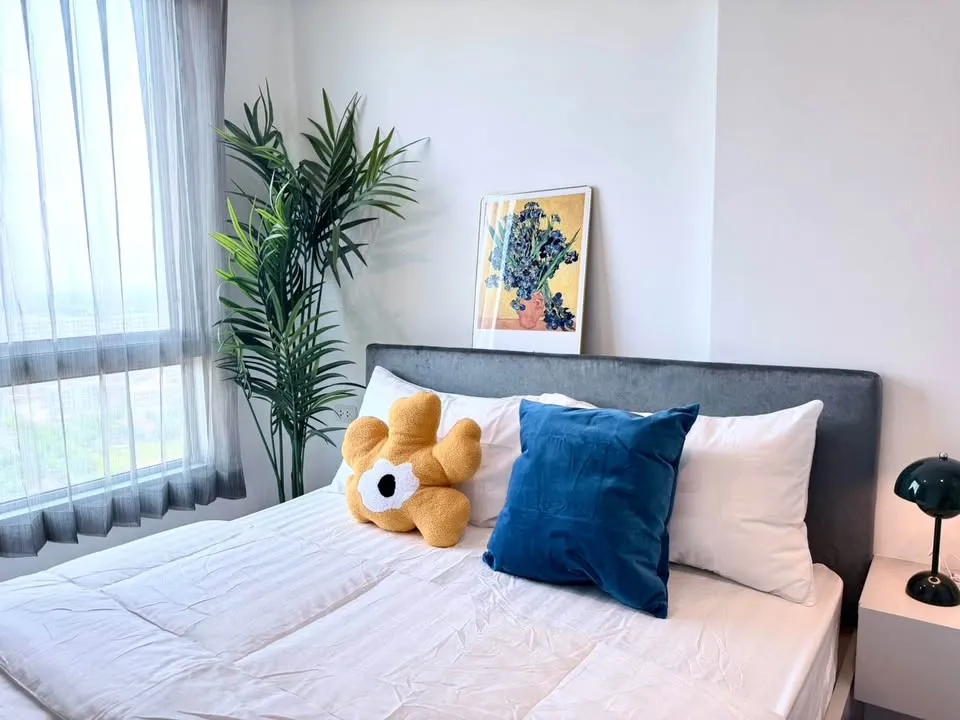 Property View 5