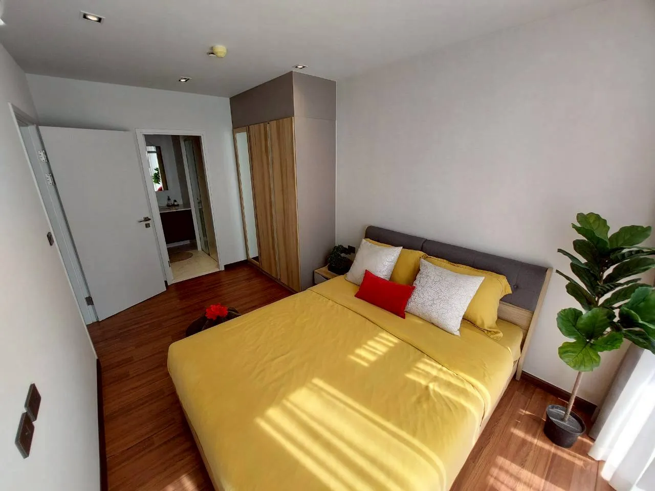 Property Main View